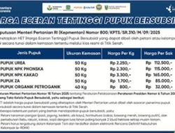 Harga Pupuk di Kecamatan Ujung Padang Melonjak Jauh di Atas HET, Diduga Ada Permainan Distribusi