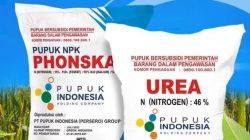 Dalam Situasi Mencekik ,Kios Pupuk Bersubsidi Mengeruk Keuntungan Besar Dari Petani.