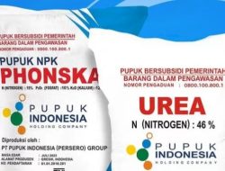 Dalam Situasi Mencekik ,Kios Pupuk Bersubsidi Mengeruk Keuntungan Besar Dari Petani.
